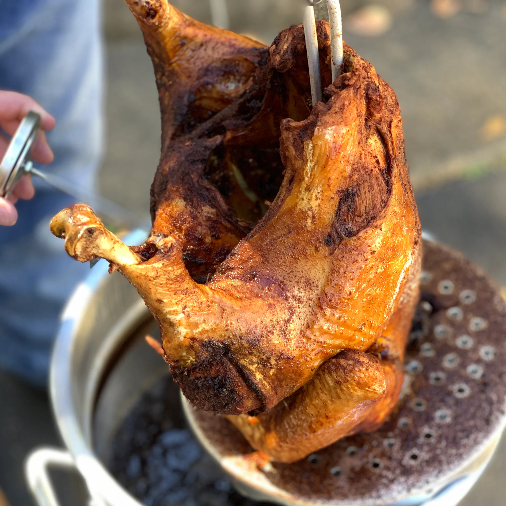 44-qt Stainless Grand Gobbler - Image 3
