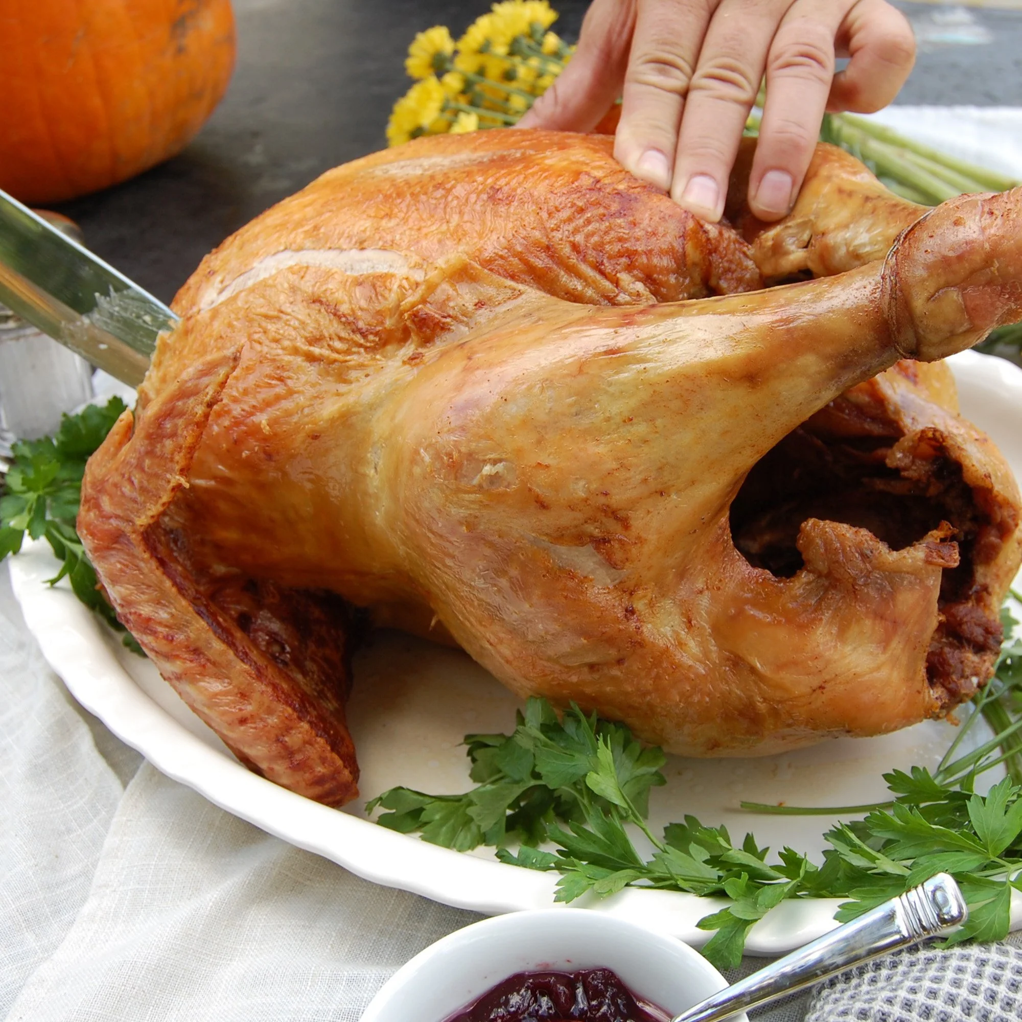 44-qt Stainless Grand Gobbler - Image 4